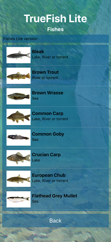 TrueFish Lite | The Realistic Fishing Simulator for Anglers