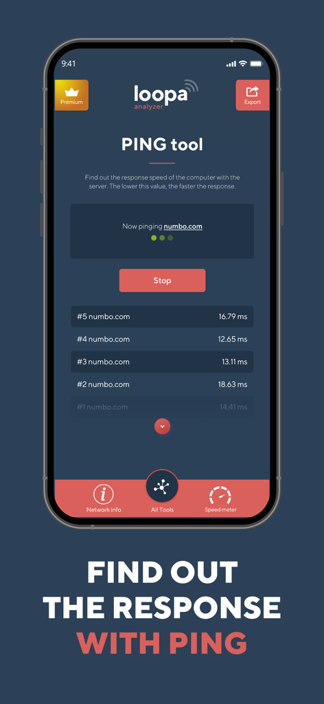 Network Analyzer Master: Loopa - Interface de l'application Network Analyzer Master montrant l'outil PING mesurant le temps de réponse du serveur en millisecondes