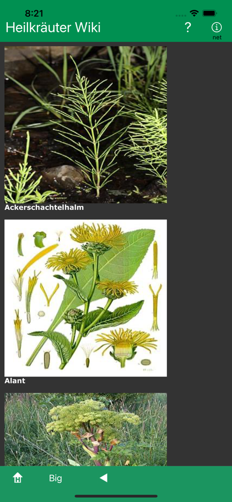 Uma captura de tela do aplicativo Heilkraeuter Wiki exibindo uma lista visual de ervas medicinais com nomes e fotos de identificação.