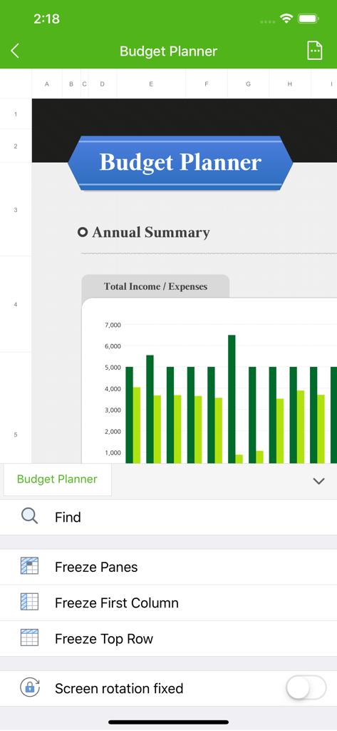 Polaris Viewer App zeigt eine Budgetplaner-Tabellenkalkulation mit einem Jahreszusammenfassungsdiagramm und Ansichtsoptionen wie Spalten einfrieren.