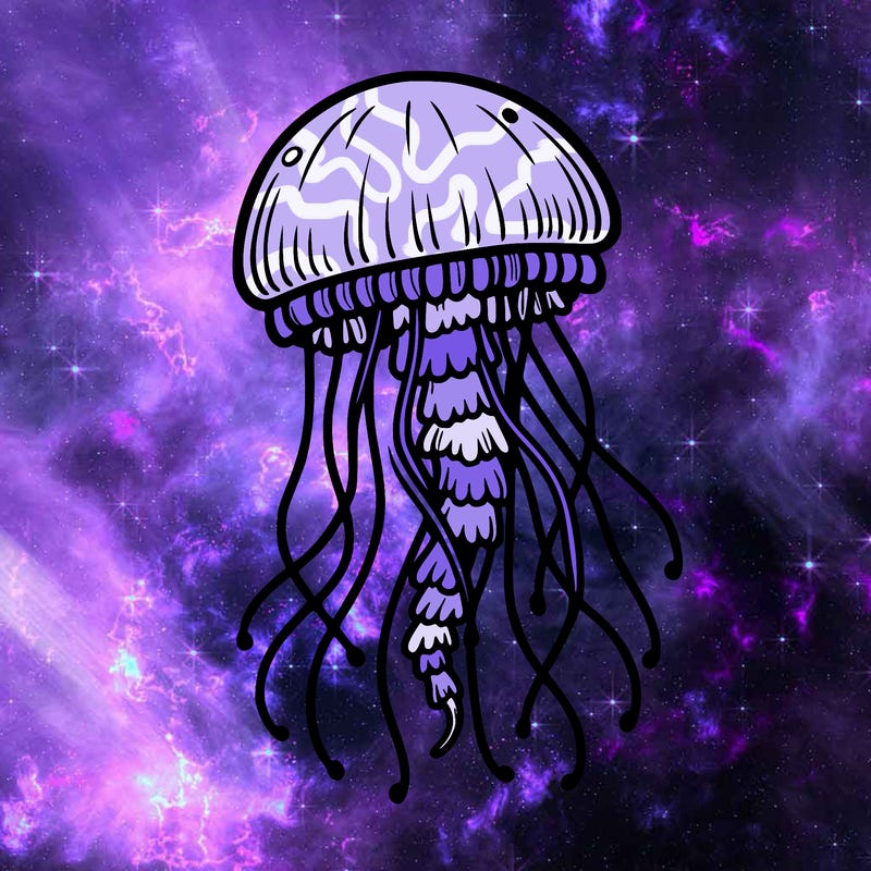jellyfish