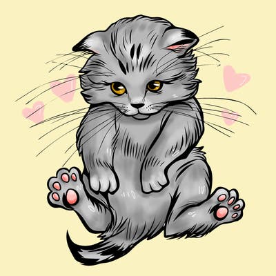 animals_20