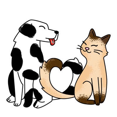 animals_22
