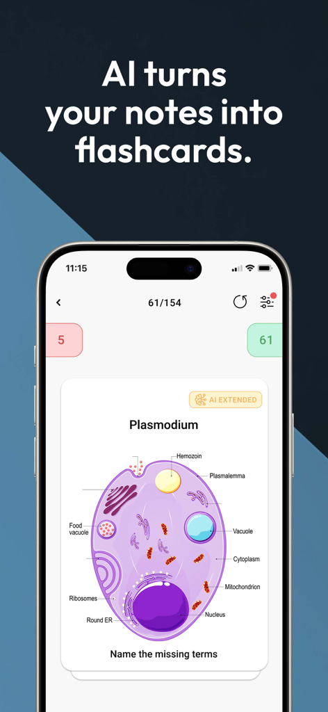 Studydrive: Study & Flashcards - Una flashcard di biologia sull'app Studydrive creata utilizzando la tecnologia IA per uno studio efficiente.
