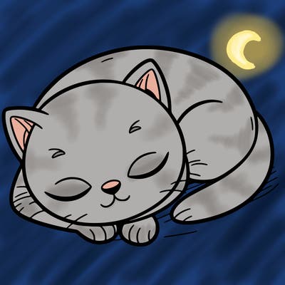 sleeping cat