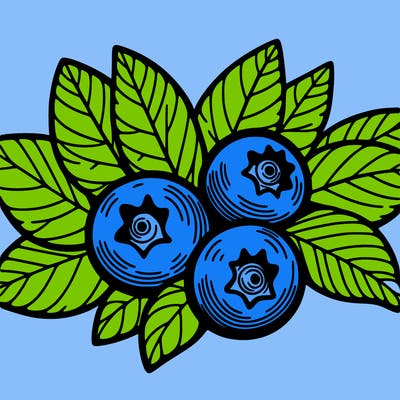 blueberry