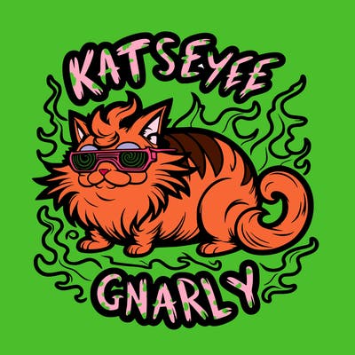 katseye gnarly