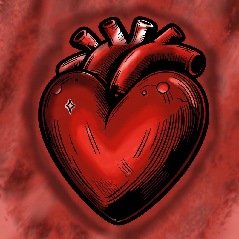 realistic heart