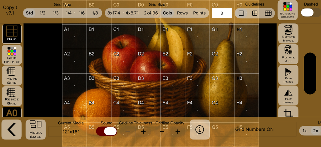 CopyIt The Grid Drawing Method - La interfaz de la aplicación CopyIt muestra una superposición de cuadrícula en una imagen de naturaleza muerta de frutas.