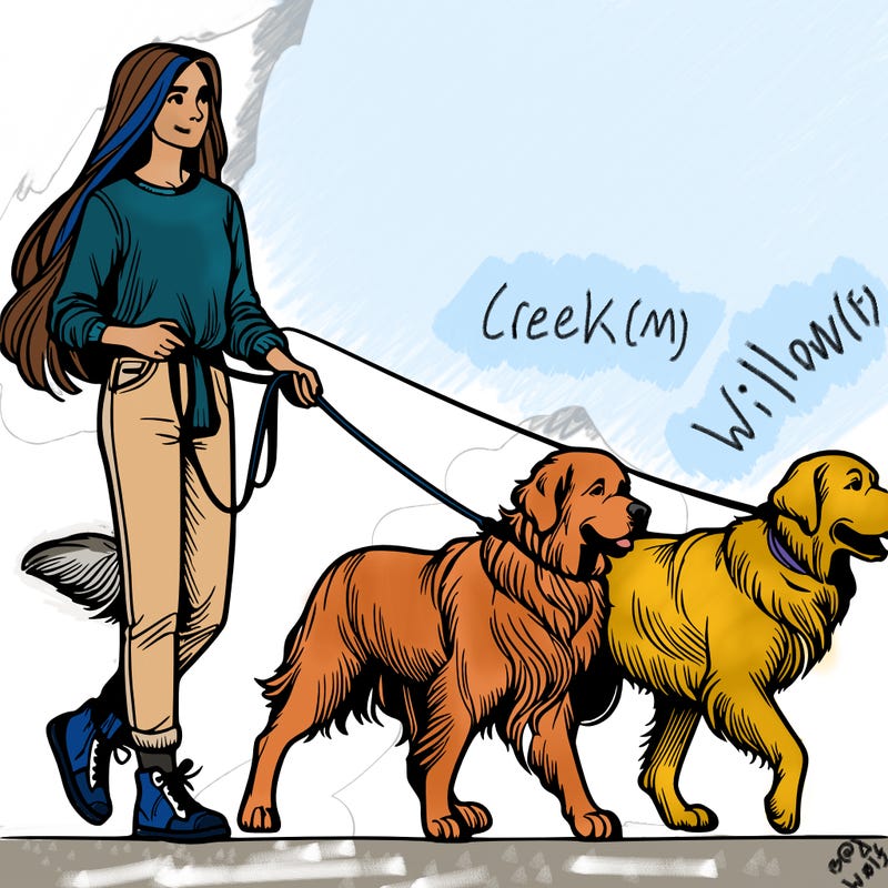 realistic woman with long hair walking with her two large dogs on a leash