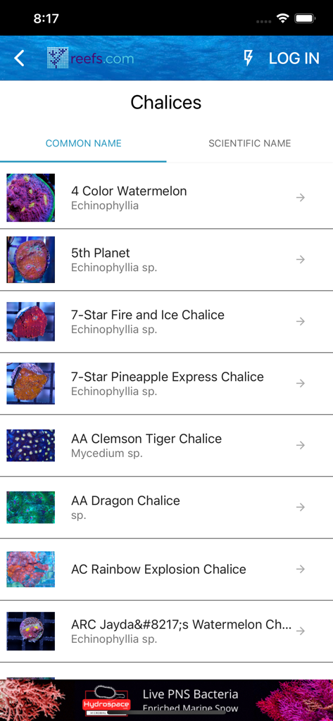 Reefs - A list of chalice corals with common and scientific names in the Reefs app identification database