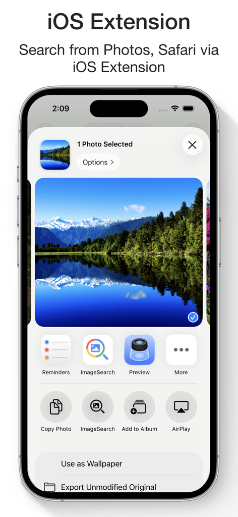 Reverse Image Search & AI Lens - iPhone screen showing the iOS share extension for the Reverse Image Search app