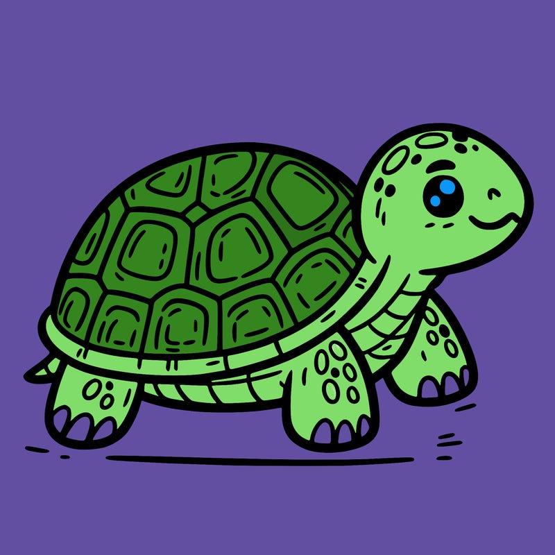 turtle