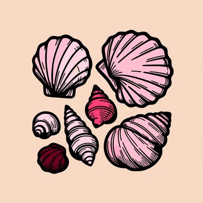 shells