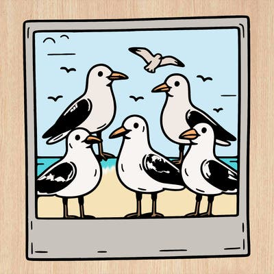 seagulls in a polaroid picture