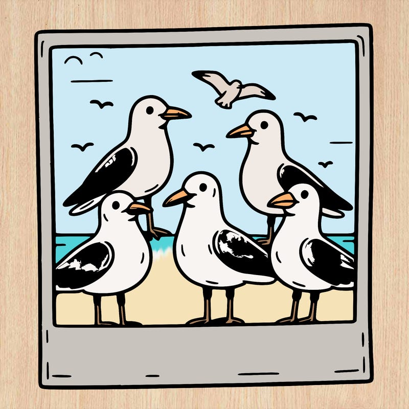 seagulls in a polaroid picture
