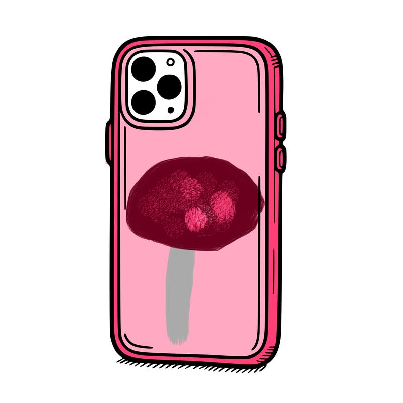 phone case