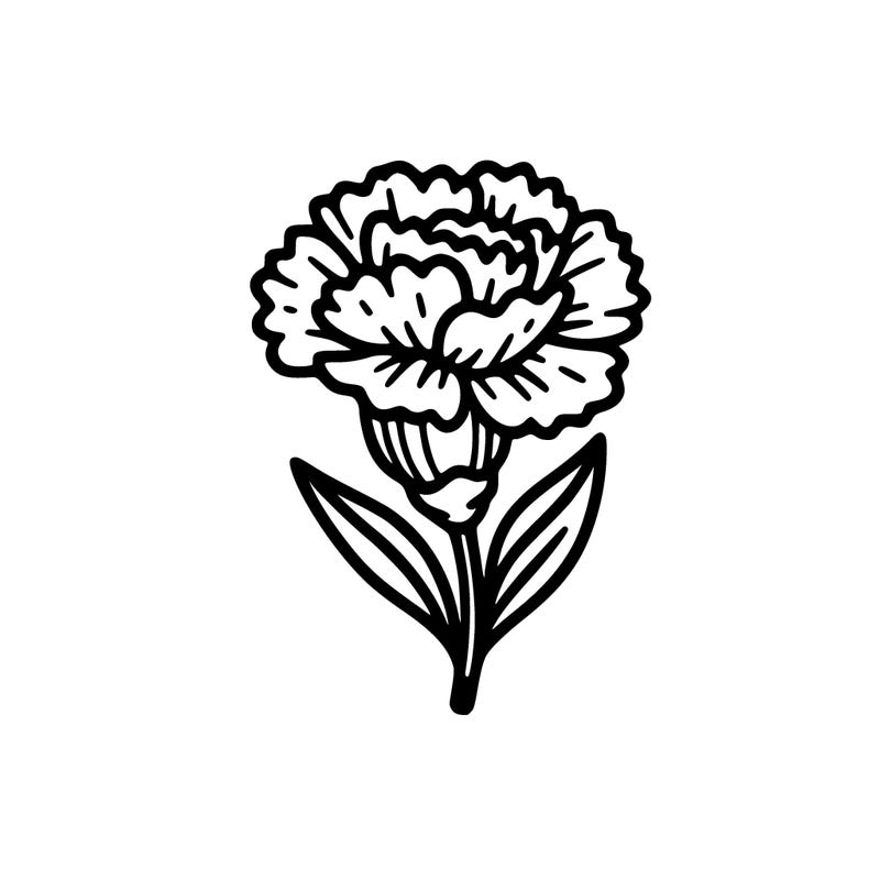 line art, beautiful carnation, simple, easy to color, thick line, no shades