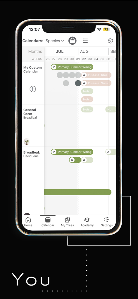 Mirai Mobile - Oberfläche der Mirai Mobile App, die einen detaillierten Bonsai-Pflegekalender mit saisonalen Aufgaben wie Sommer-Drahtung zeigt