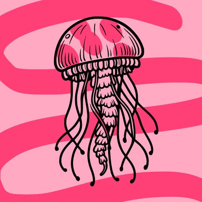 jellyfish