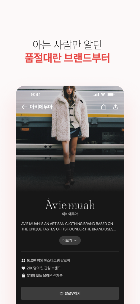 LIT app screen displaying a curated fashion brand profile with social media statistics and a follow button
