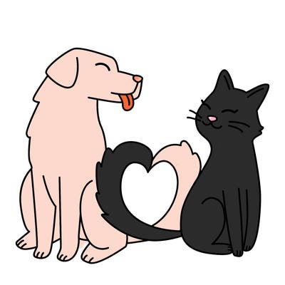 animals_22