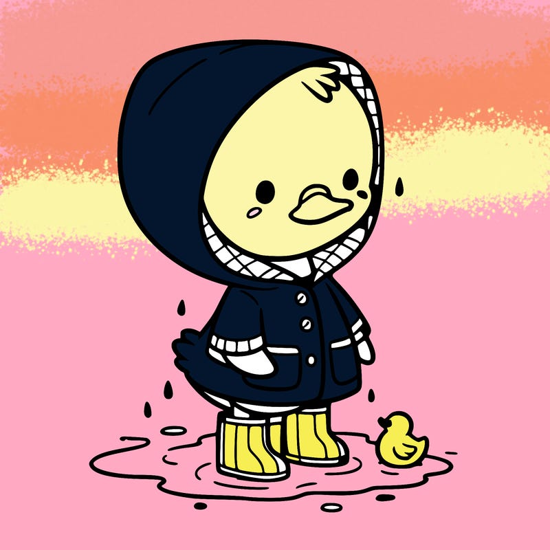 baby duck in a rain coat and boots, in a puddle while it’s raining