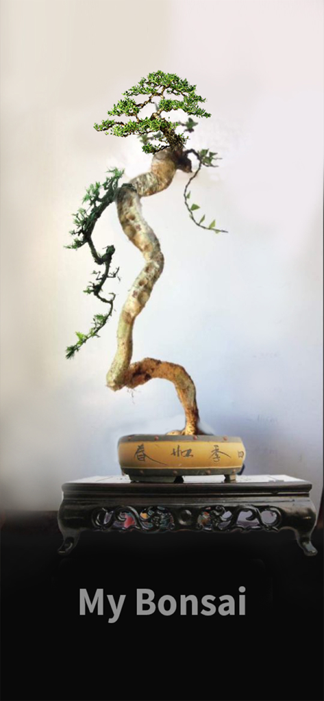 My Bonsai - A simulated bonsai tree design with a tall curved trunk in a decorative yellow pot