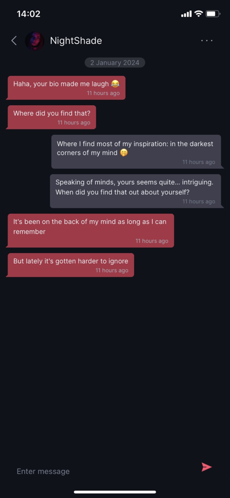 A messaging interface in the BeeDee dating app showing a conversation between users with a dark theme