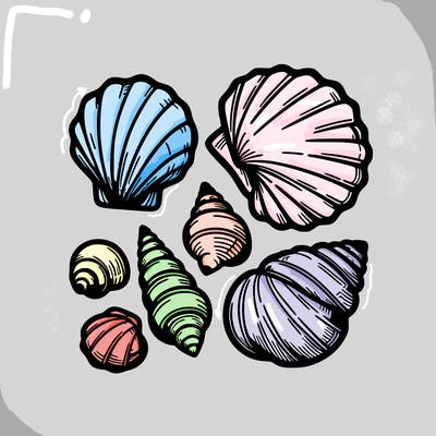 shells