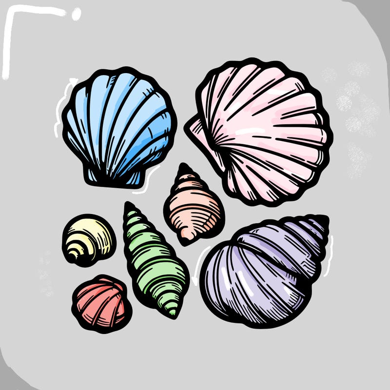 shells