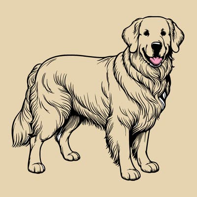 realistic golden retriever