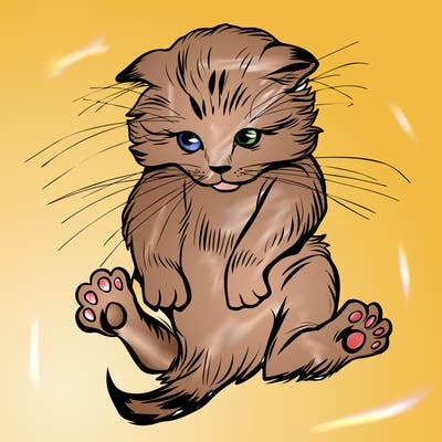animals_20