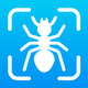 Bug Finder: Identifier