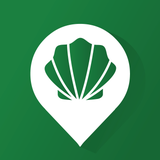 Wise Pilgrim Camino Portugués