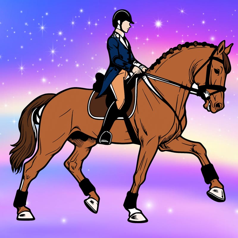 dressage horses