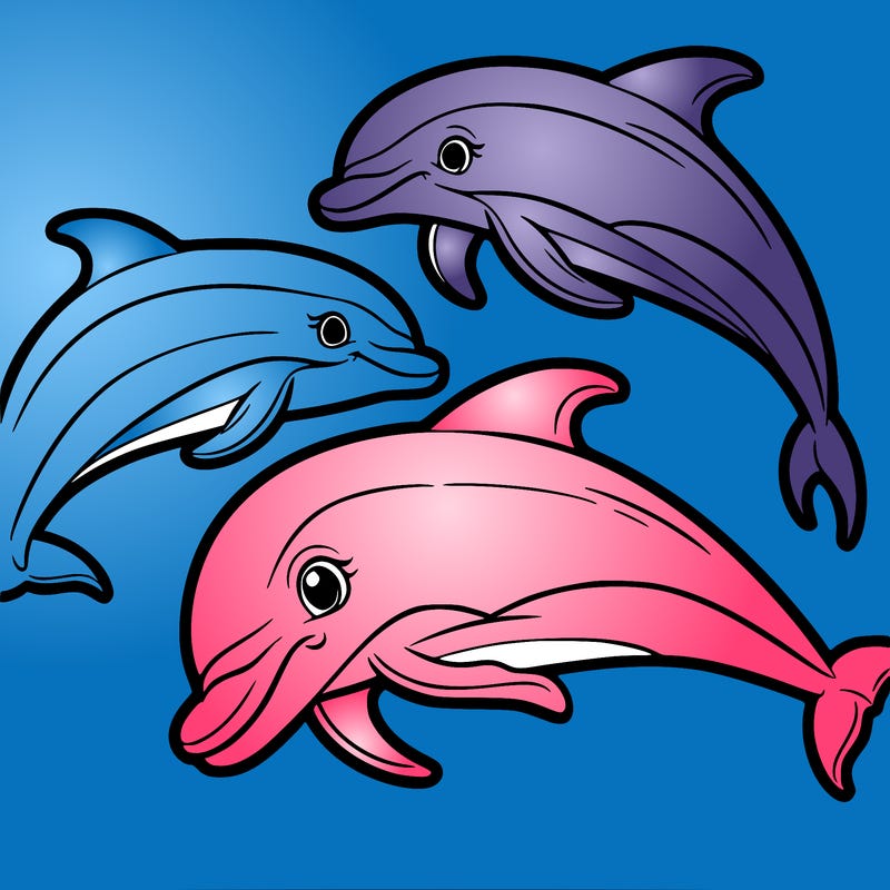 dolphins