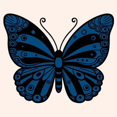 butterfly