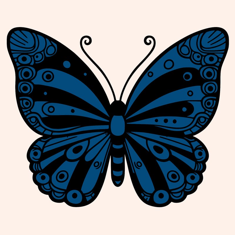 butterfly