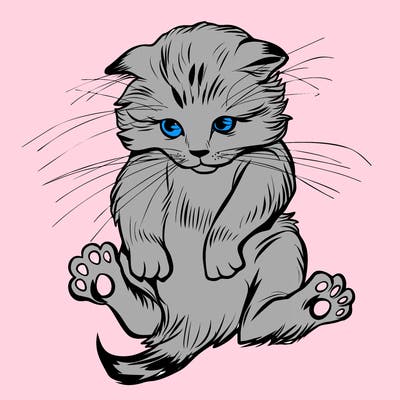 animals_20