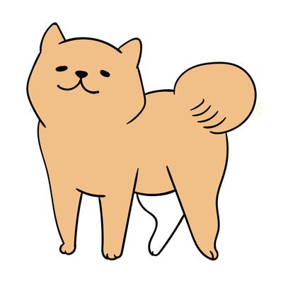 animals_29