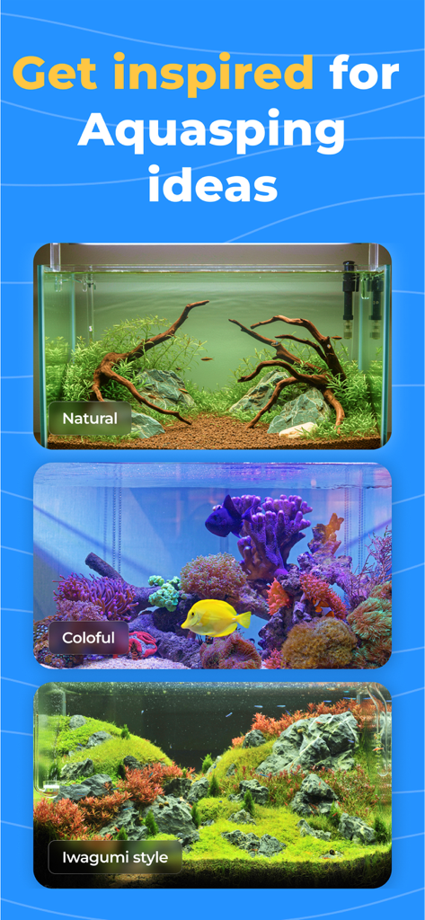 OkayFish - Pet Fish Care Guide - Three aquarium design examples including natural colorful and iwagumi styles for aquascaping inspiration