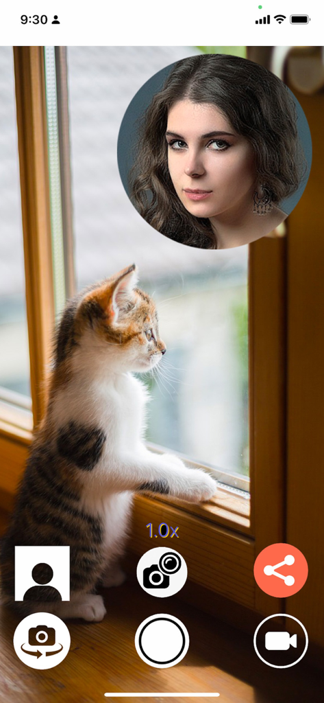 Dual Camera Double Video - Interfaz de la aplicación Doble Cámara Doble Vídeo mostrando un gatito mirando por una ventana con una superposición de reacción selfie circular de una mujer.