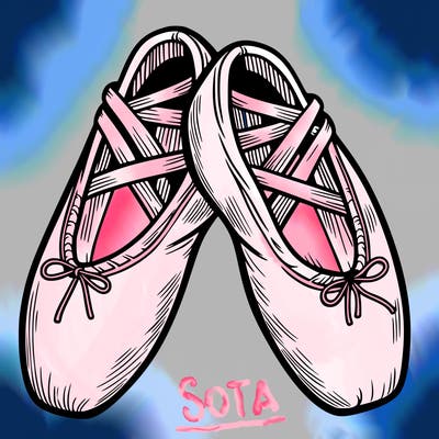 ballet shoes