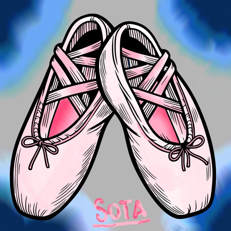 ballet shoes