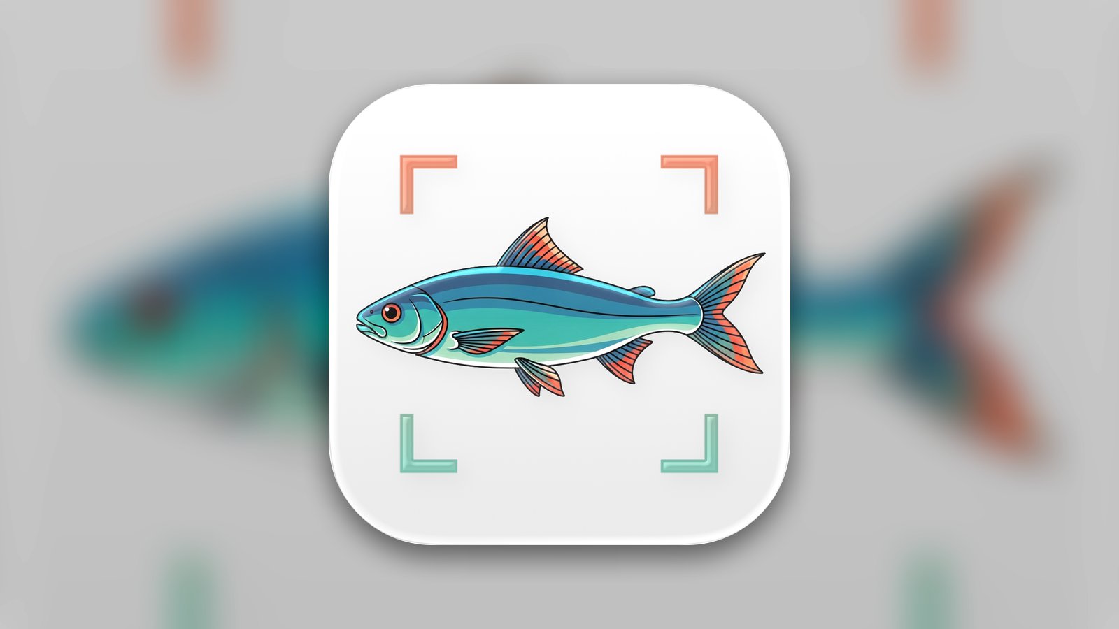 Fish Identifier & AI Scanner - Education App | MWM