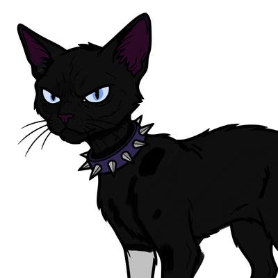a grumpy, skinny girl cat with a spiky collar.