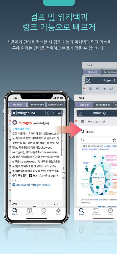 Interface of the Korean Medical Dictionary app showing a medical term search with a direct link to a Wikipedia entry.