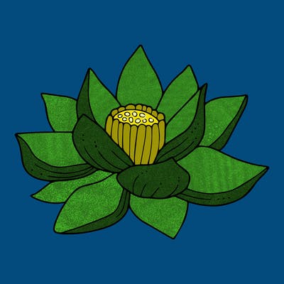 flowers_08