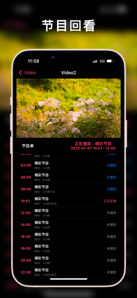 APTV mobile app interface on iPhone showing the program catch-up feature with a video player and detailed broadcast schedule